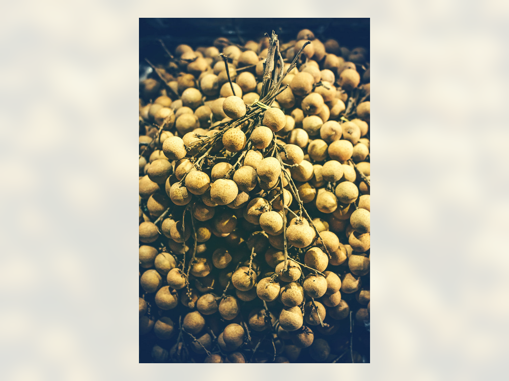 LONGAN