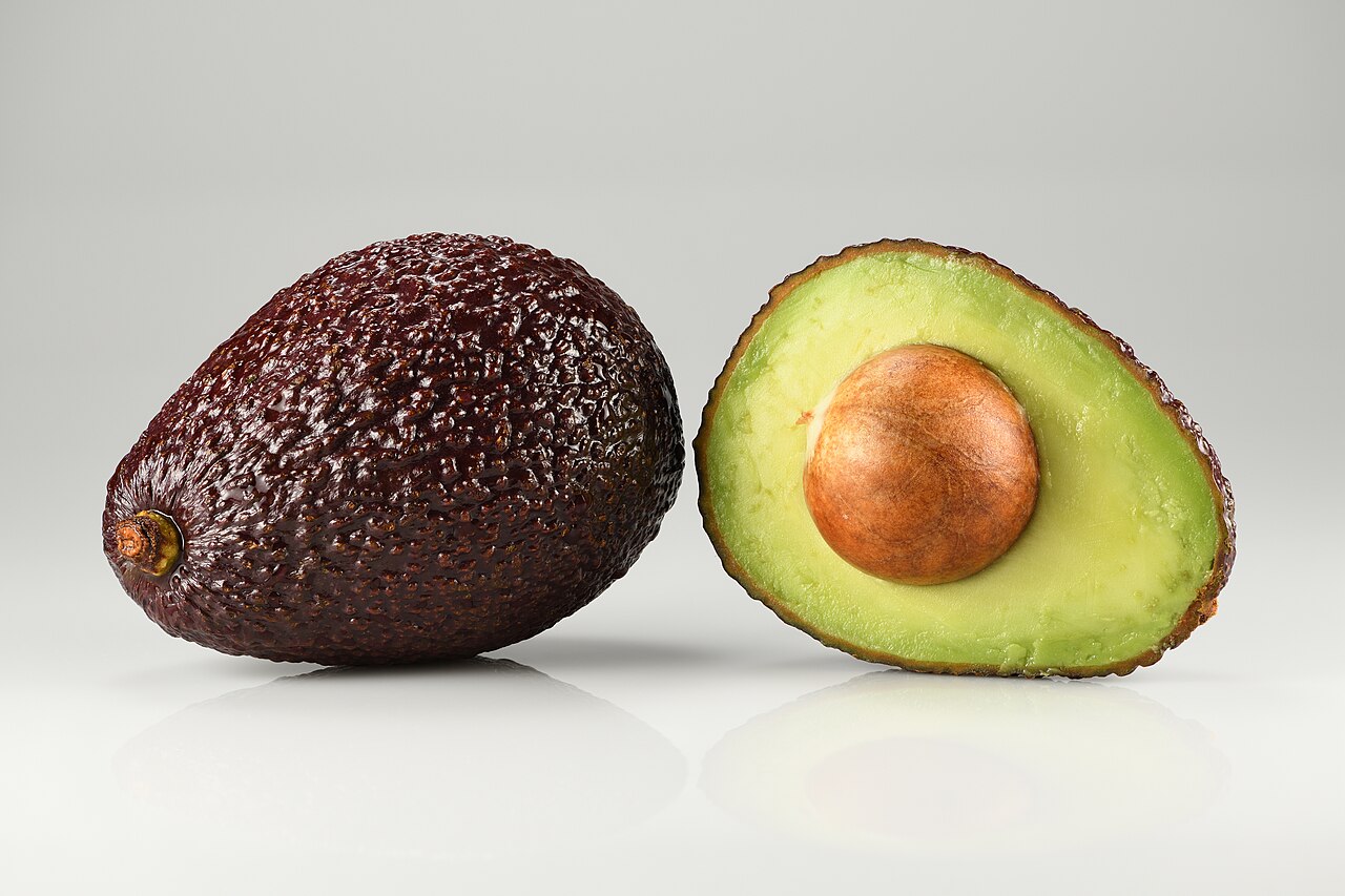 AVOKADO ÇEKİRDEĞİ