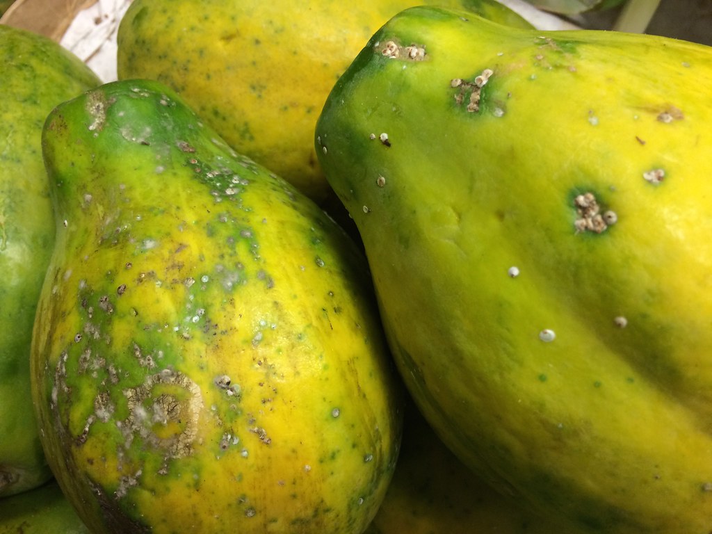 PAPAYA