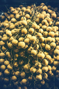 LONGAN