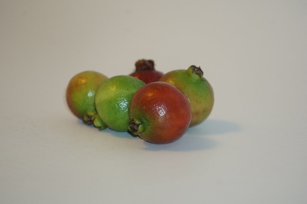 ÇİLEK GUAVA