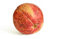GUAVA